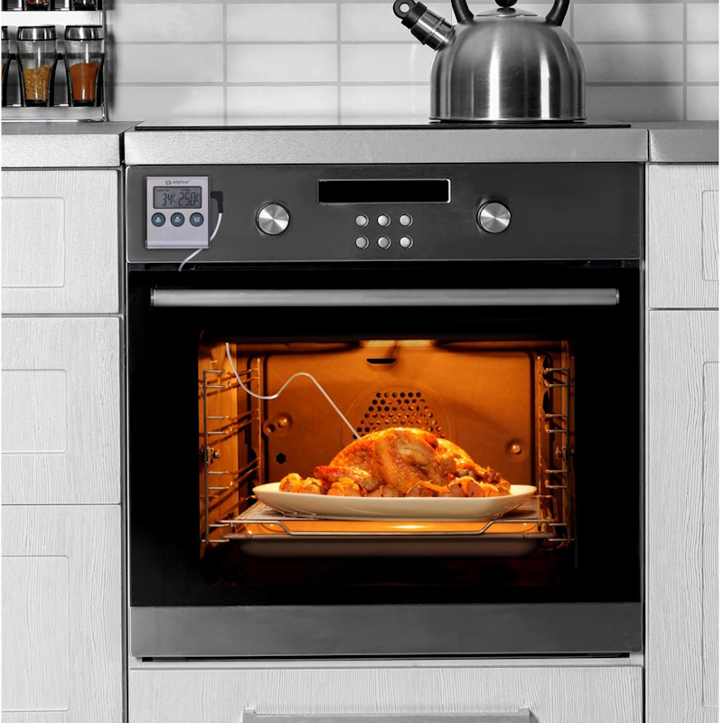 Alpina Digitale Thermometer 3