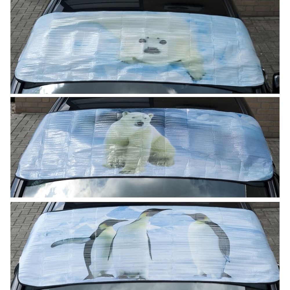 Sneeuw En Ijswerende Mat