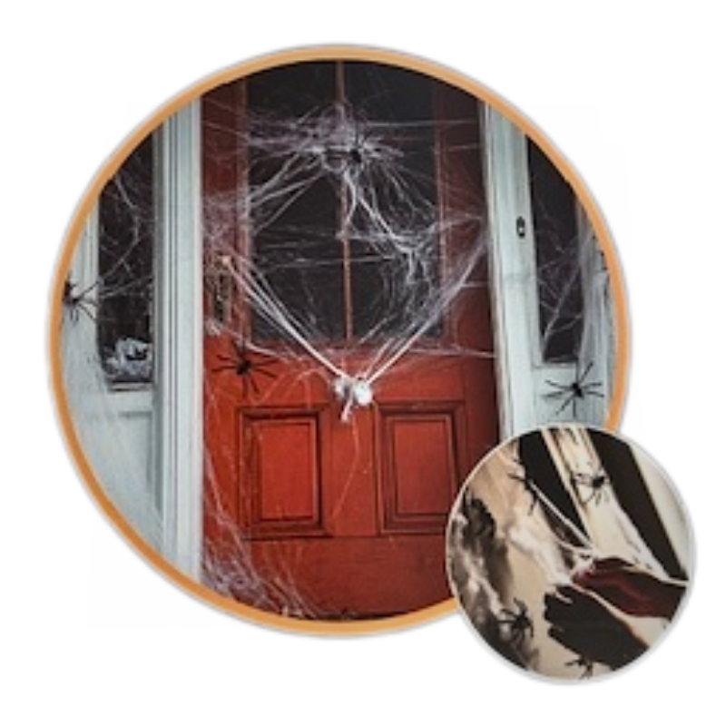 Spinnenweb 2 Spinnen