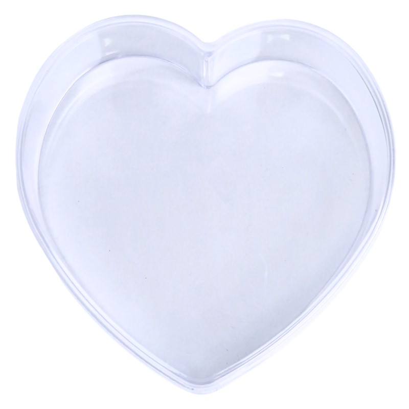 Plastic Hart Groot (1)